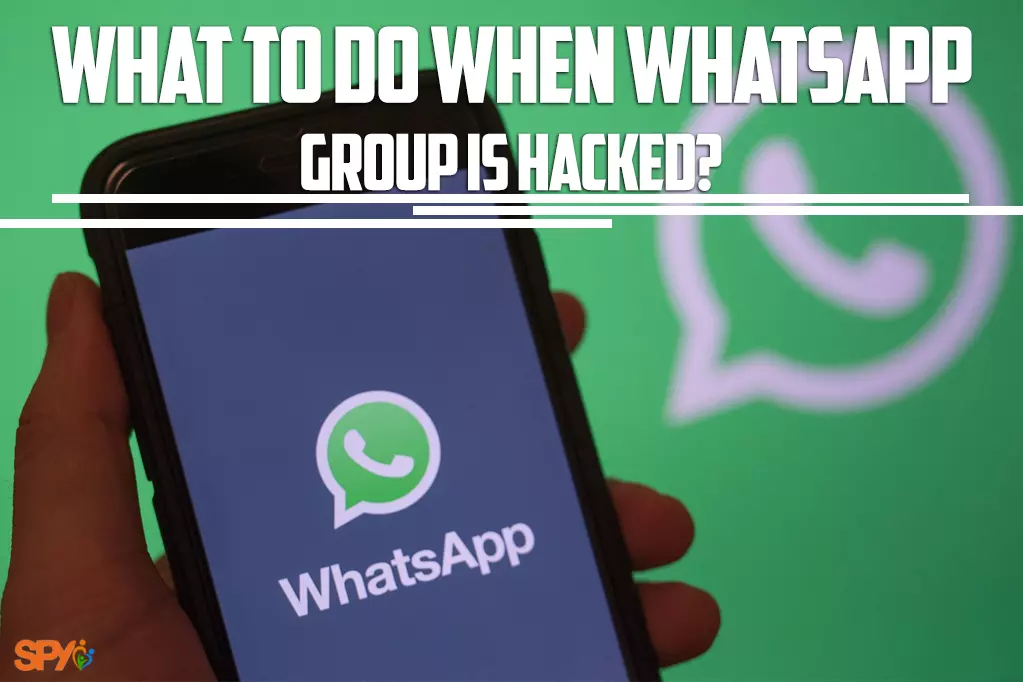 What to do when WhatsApp group is hacked