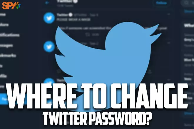 Where to change twitter password?