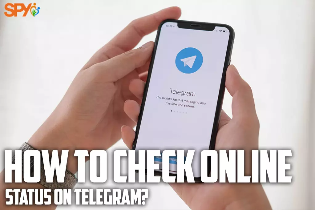 How to check online status on Telegram?