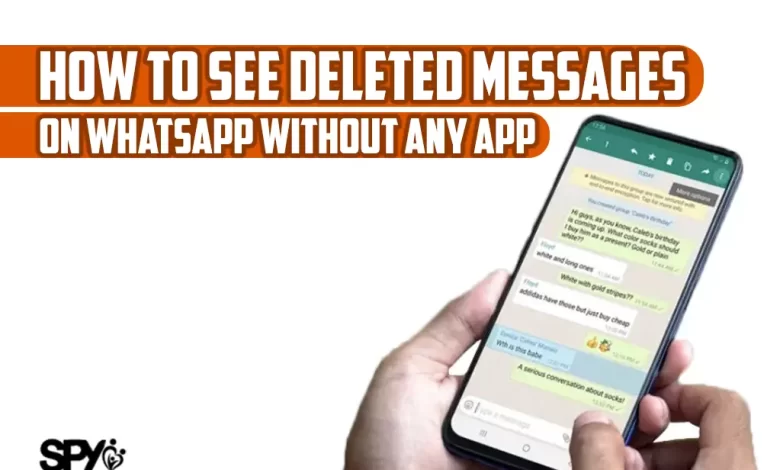 How to see deleted messages on WhatsApp without any app on android?